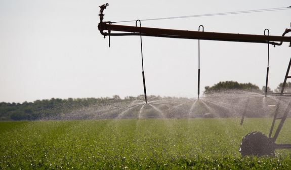 An irrigation system sprays water on a cornfield. Credit: Kansas State University Photo Services