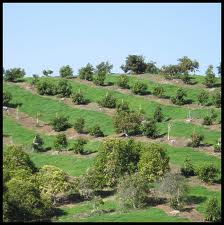 Agriculture Industry problems san diego Agriculture Industry problems san diego