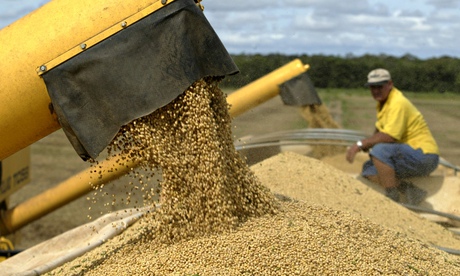 A soybean farmer in Mato Grosso, Brazil. The country's 'family farmers' are encouraged to feed urban populations. Photograph: Paulo Whitaker/Reuters A soybean farmer in Mato Grosso, Brazil. The country's 'family farmers' are encouraged to feed urban populations. Photograph: Paulo Whitaker/Reuters