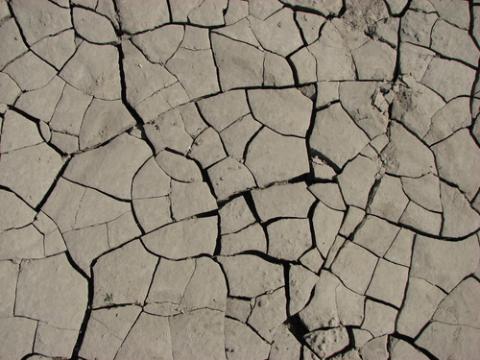 Dry soil Dry soil