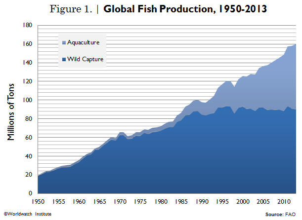 Global Fish Production, 1950 - 2013 Global Fish Production, 1950 - 2013
