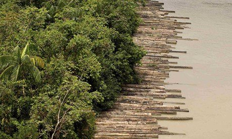 Illegally logged timber, which has been confiscated, is floated down the Guam river delta in Brazil Illegally logged timber, which has been confiscated, is floated down the Guam river delta in Brazil