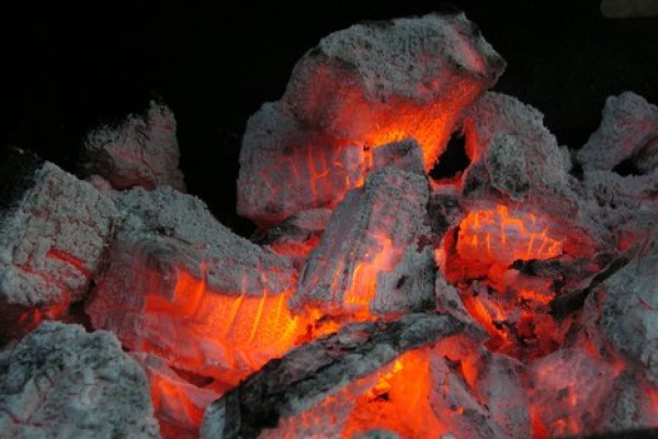 Chinese Coal