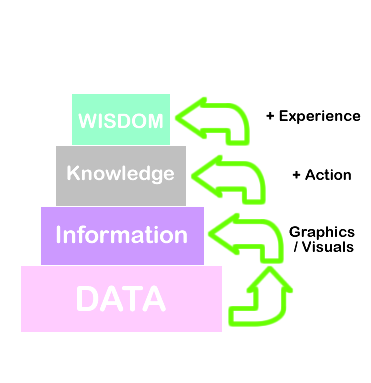 The Path to Wisdom