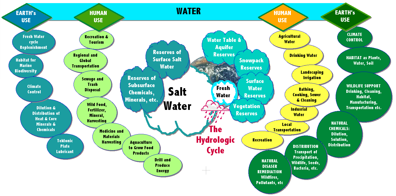 Water Usage Distribution