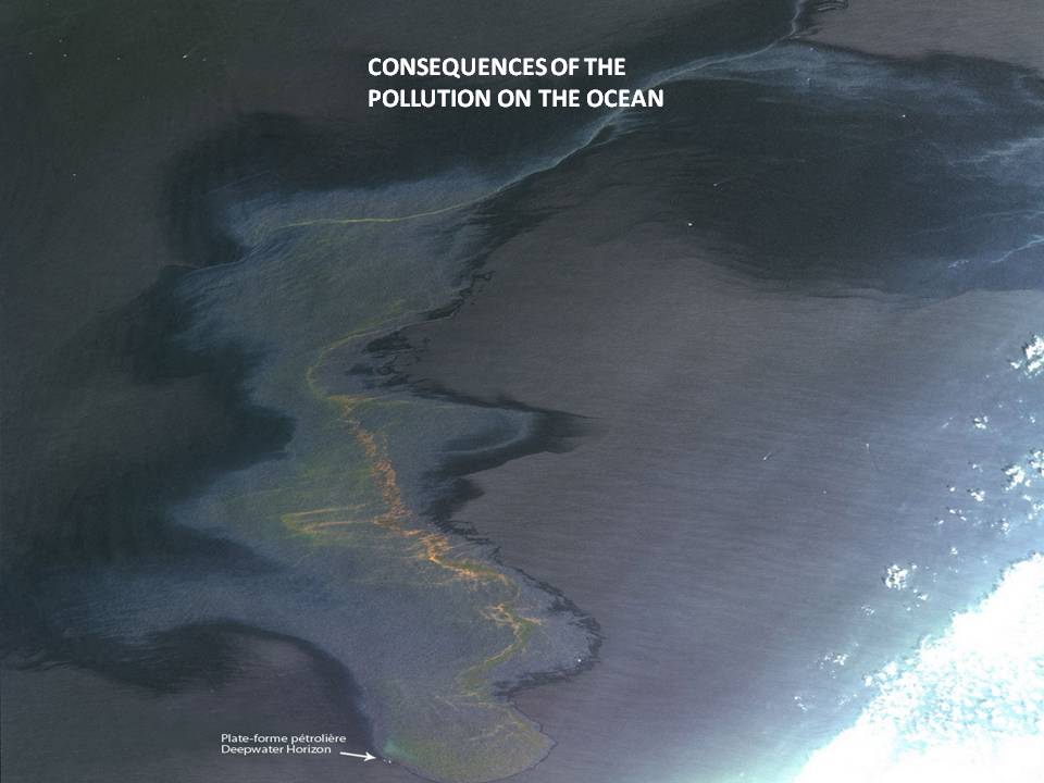 Consequences of the pollution Consequences of the pollution