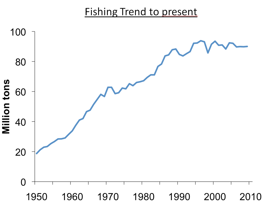 fishing trend to present fishing trend to present