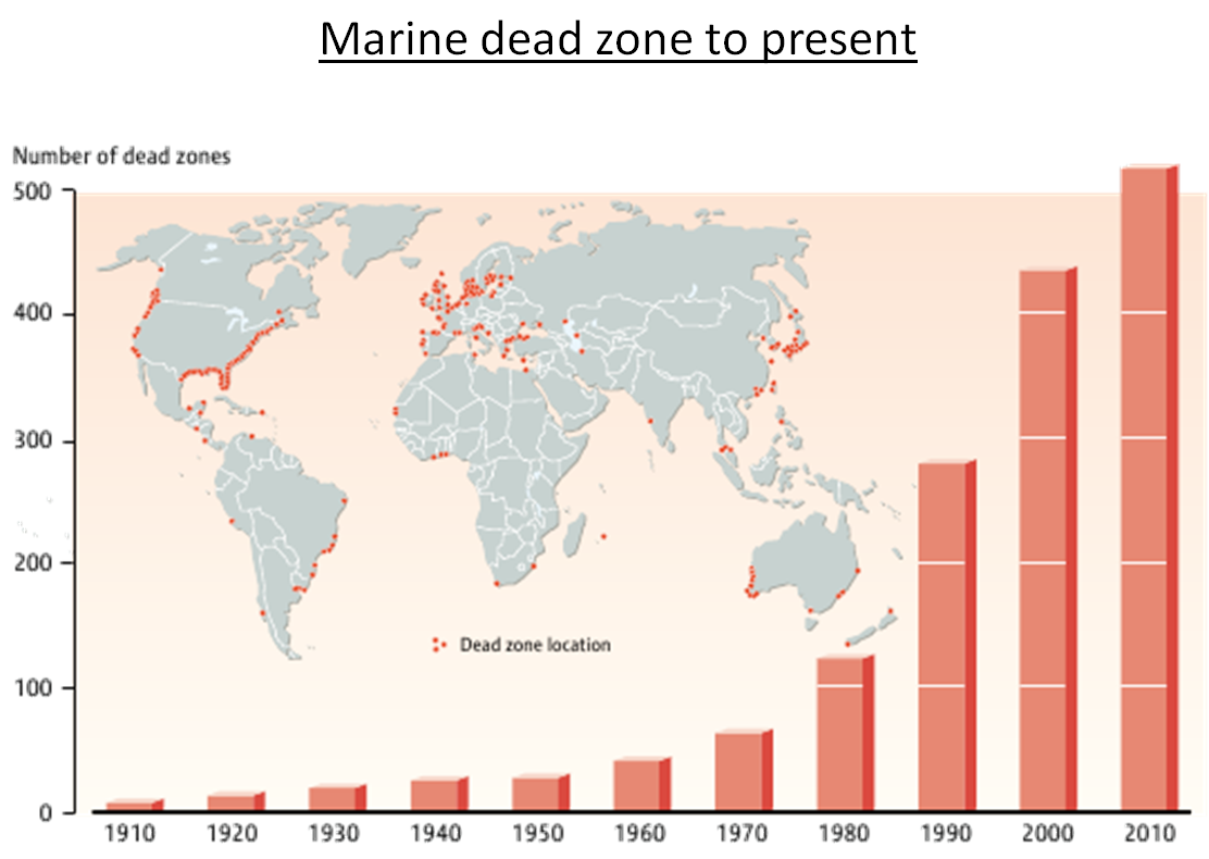 marine dead zone to present marine dead zone to present