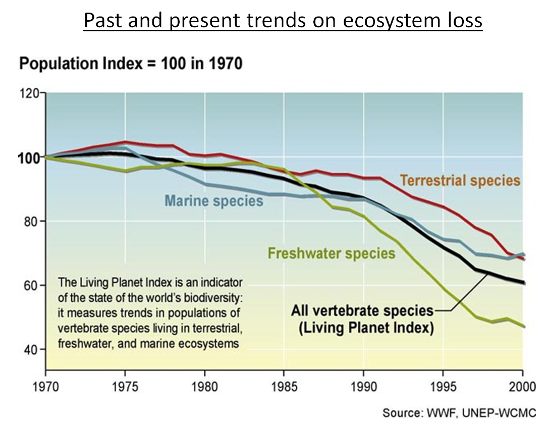 past and present trends on ecosystem loss past and present trends on ecosystem loss