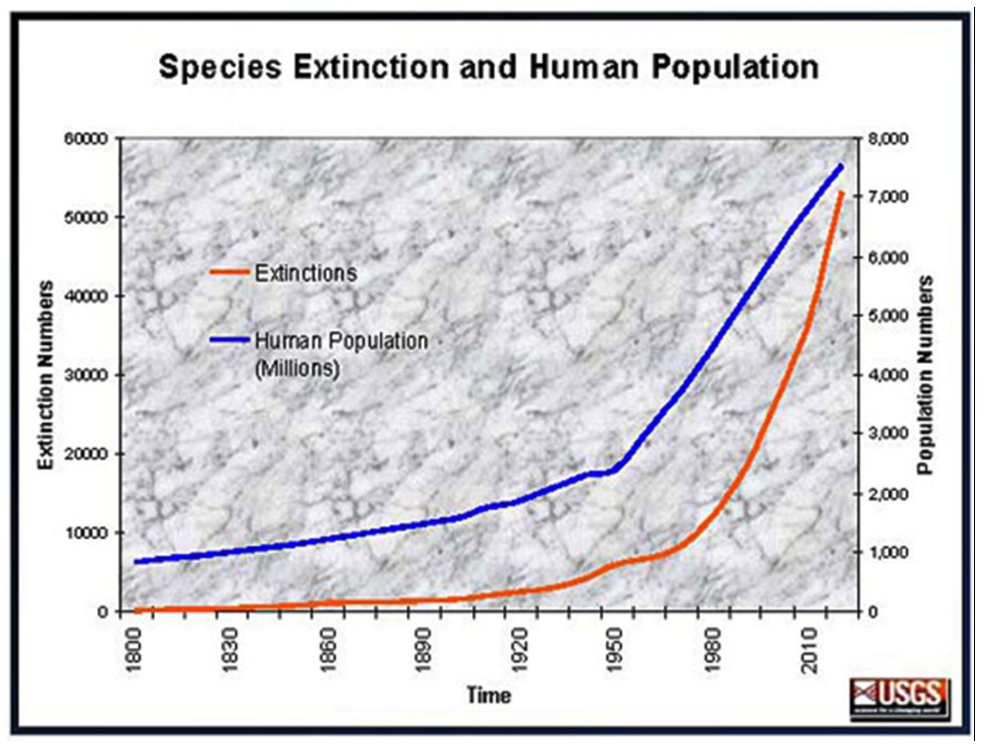 species extinction and human population species extinction and human population