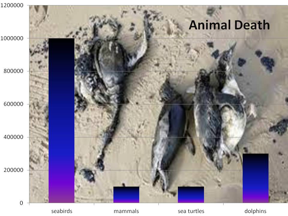 animal death