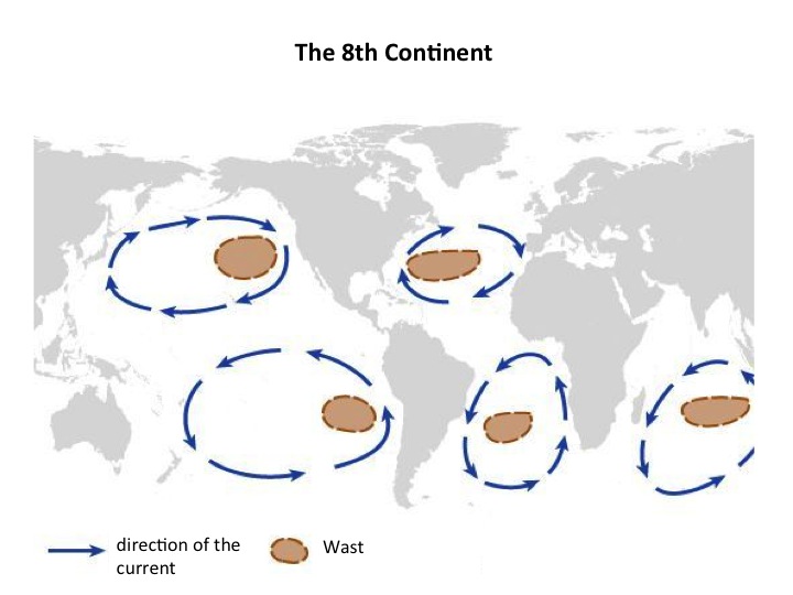 The 8 th continent The 8 th continent
