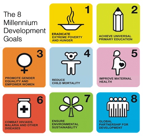 The 8 Millennium Development Goals The 8 Millennium Development Goals