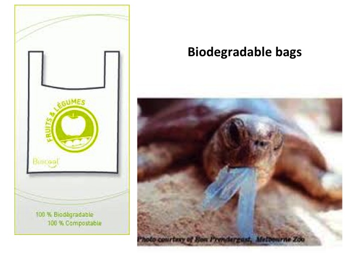 biodegradable bags biodegradable bags
