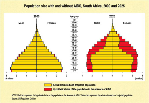 South Africa Population projection with and without AIDS South Africa Population projection with and without AIDS