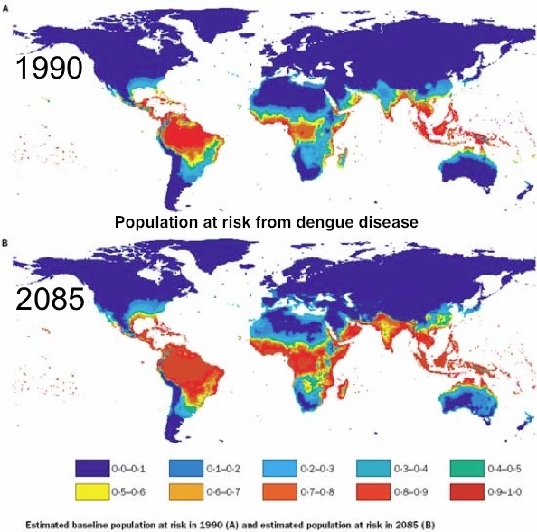 global warming and insect desease  global warming and insect desease