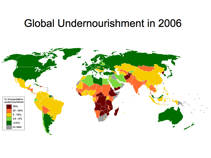 Global Undernourishment (2006) Global Undernourishment (2006)