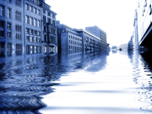 What Companies Can Learn From Cities on Climate Change What Companies Can Learn From Cities on Climate Change