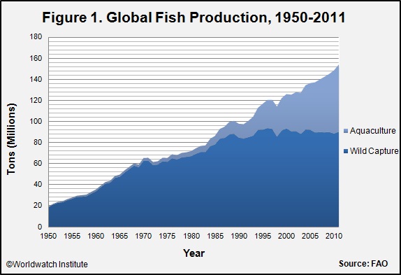 Aquaculture Tries to Fill World's Insatiable Appetite for Seafood Aquaculture Tries to Fill World's Insatiable Appetite for Seafood