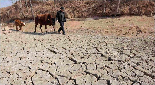 U.N. Food Agency Issues Warning On China Drought  U.N. Food Agency Issues Warning On China Drought