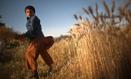Global poverty rate falling, says UN Global poverty rate falling, says UN