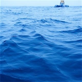 Urgent Investment In Renewables Needed Urgent Investment In Renewables Needed