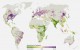 Crops grown for food (green) versus for animal feed and fuel (purple). National Geographic Crops grown for food (green) versus for animal feed and fuel (purple). National Geographic