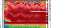 Methane megaflare on Laptev Sea slope at around 62m depth. "We are “sniffing” methane. We see the bubbles on video from the camera mounted on the CTD or the Multicorer. All analysis tells the signs. We are in a Mega flare. We see it in the water column we read it above the surface an we follow it up high into the sky with radars and lasers. We see it mixed in the air and carried away with the winds. Methane in the air." Ulf Hedman, Science Coordinator, Swedish Polar Research Secretariat